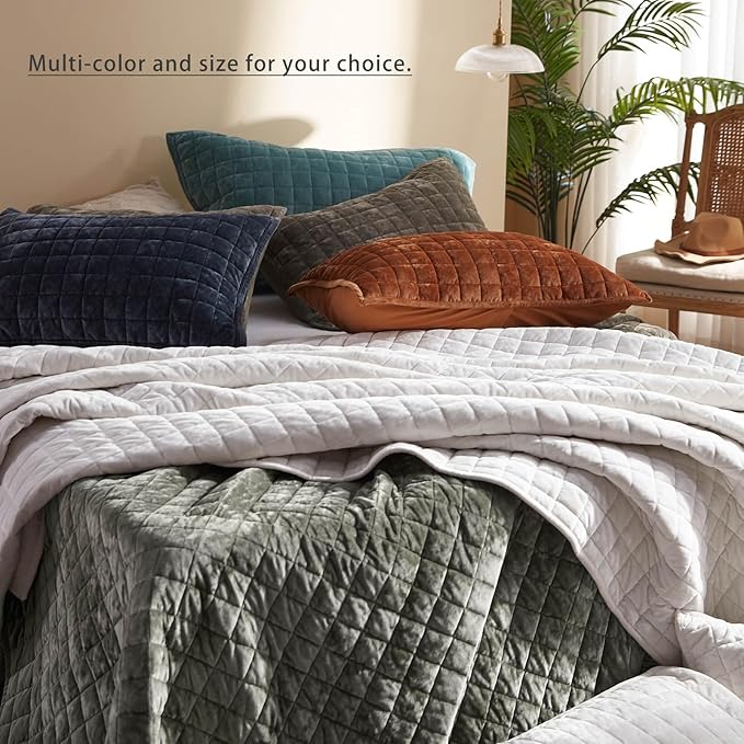 LEAONME Velvet Quilt Full/Queen Size-90''x98'', Lightweight Grey Velvet Comforter Set with 2 Pillow Shams, Soft Bedspread Coverlet Quilted Bedding Set for All Season
