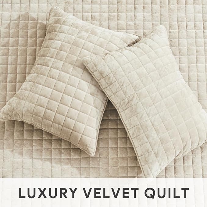 RECYCO Luxury Velvet Quilt Set, California King 118'' x 106'' Oversized Bedspread, Ultra Soft Velvet Comforter, Lightweight Box Stitch Bedding Sets for All Season, with 2 Shams, Beige