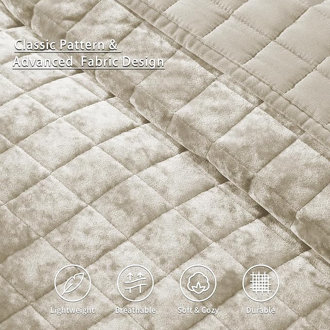 LEAONME Velvet Quilt California King-118''x106'', Lightweight Beige Velvet Comforter Set with 2 Pillow Shams, Soft Oversized Bedspread Coverlet Quilted Bedding Set for All Season